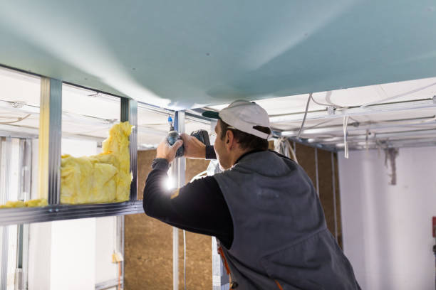Best Types of Insulation in Washington, IL