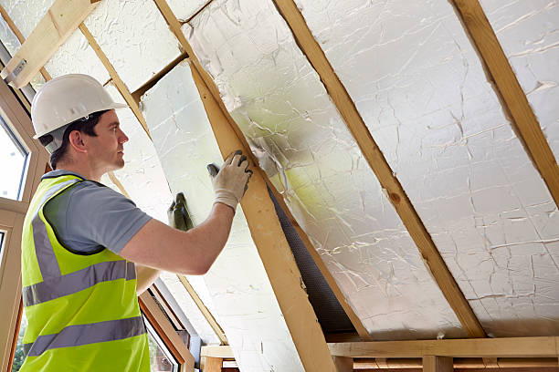 Best Insulation Maintenance and Repair in Washington, IL